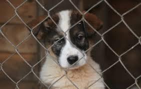 МОЙ МИ…3 (ХОККУ)