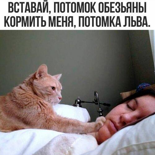 ХОЗЯИН ДОМА