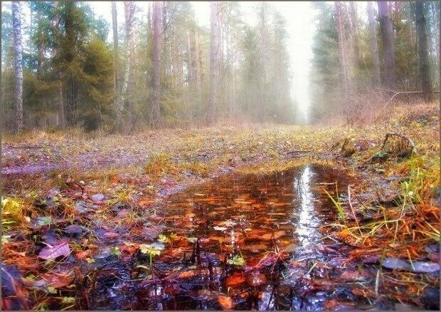 Непогода...Непогода...