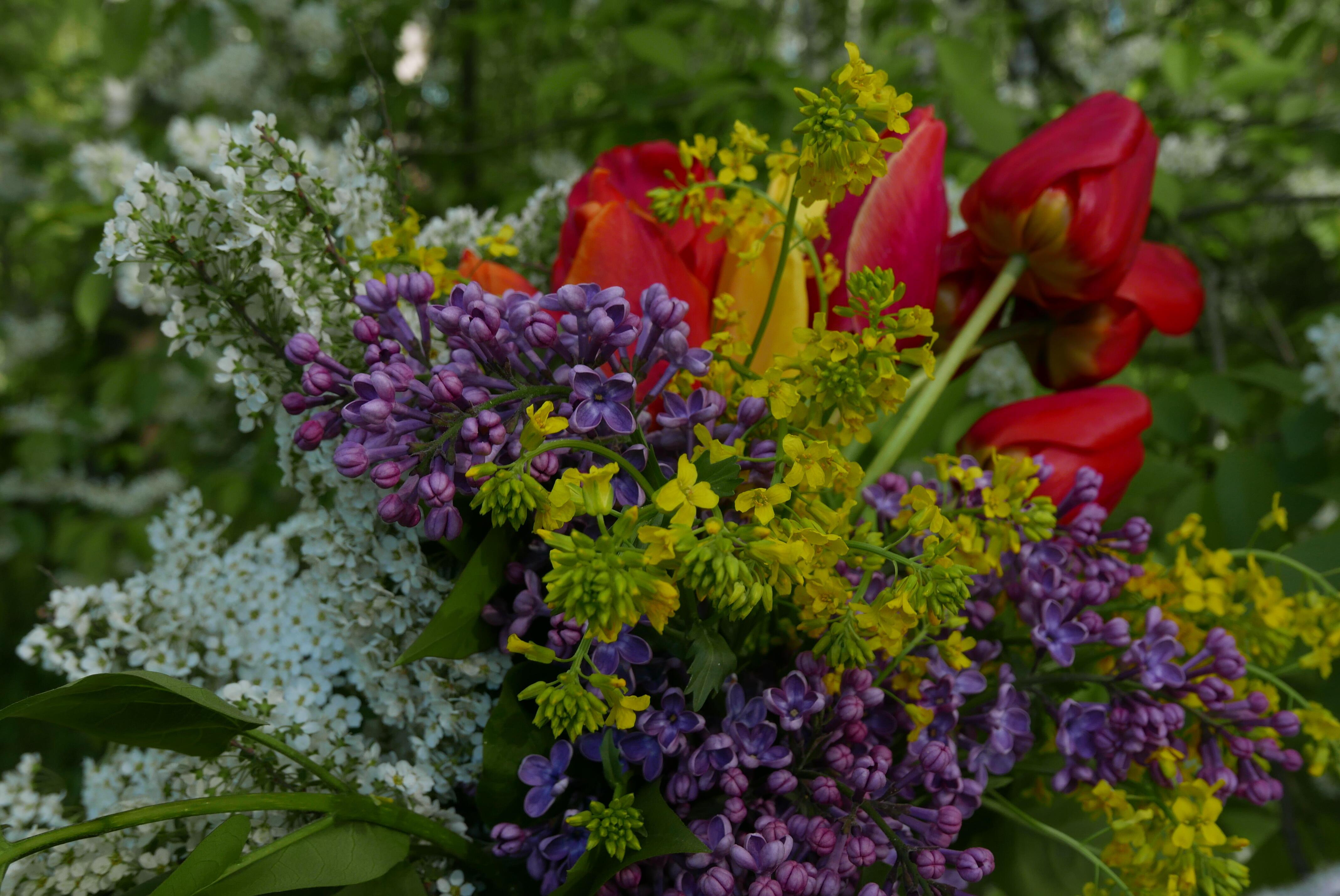 Майский Николин день...