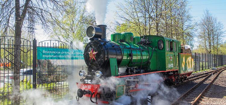 Помощник погонщика