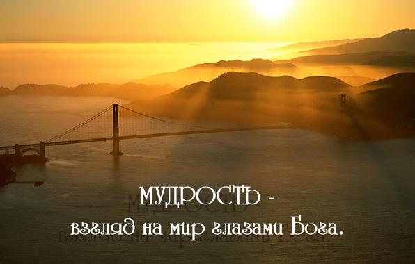 Ум или мудрость