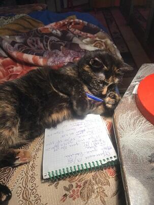 ЛУне с любовью