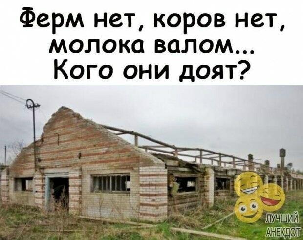 Не о молоке?!