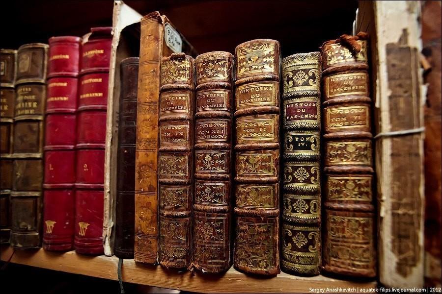 ПАРАДИГМА (валик)