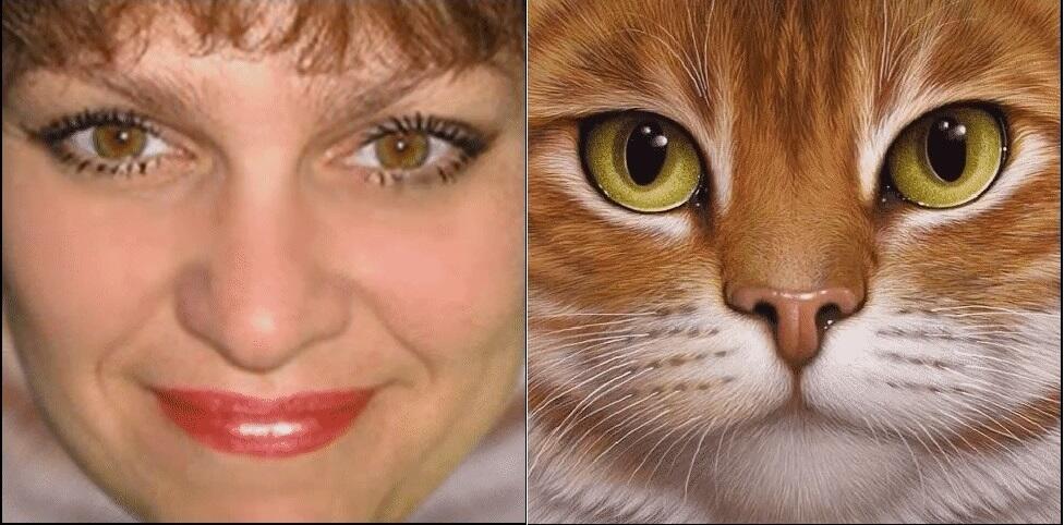 Будто, девушка иль рыжая ты кошка