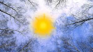 Весенний день...