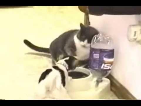 о тех, кто рядом, но далеко