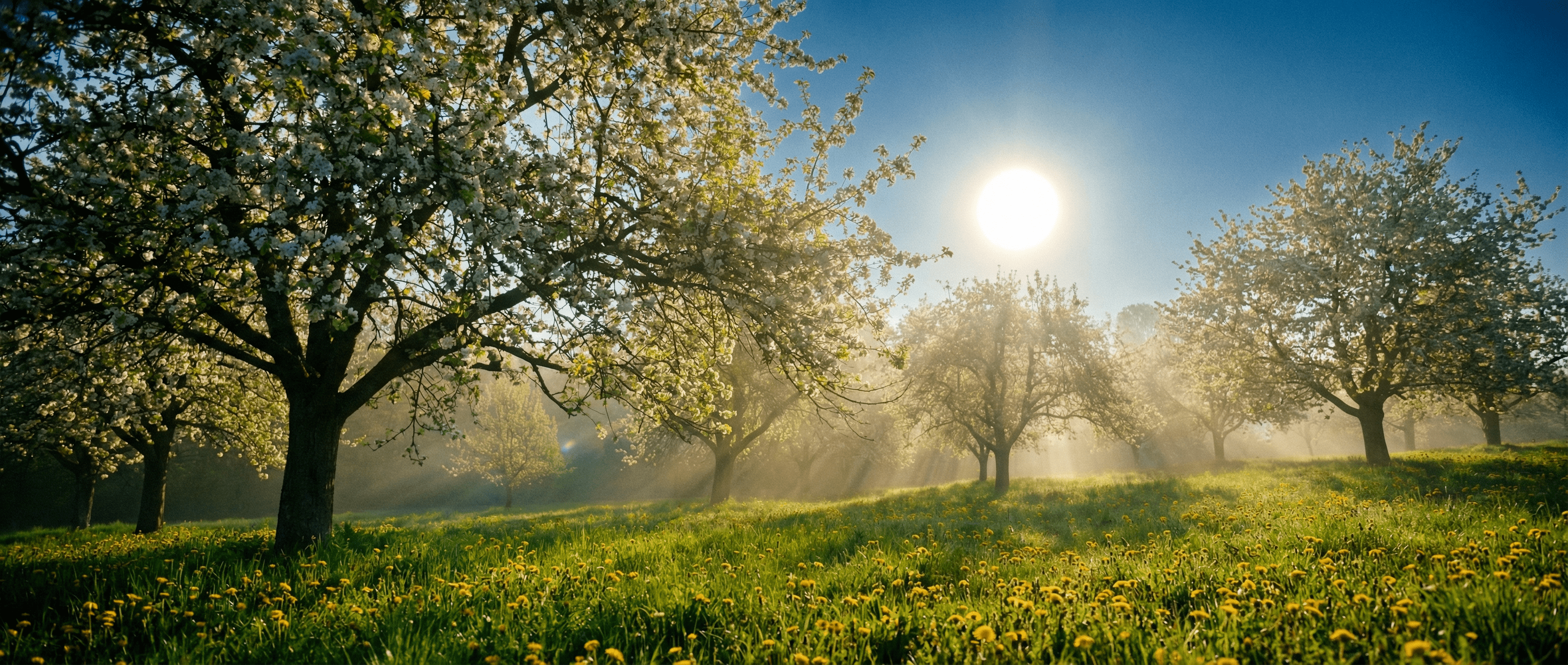 Весной (безглагольное)
