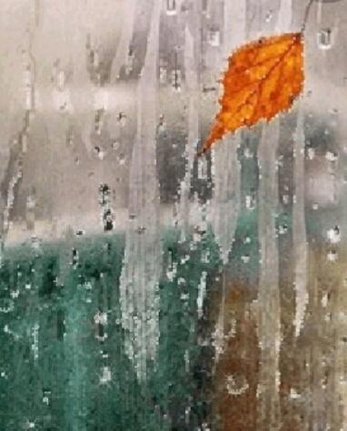 Ноябрь в гости напросился.