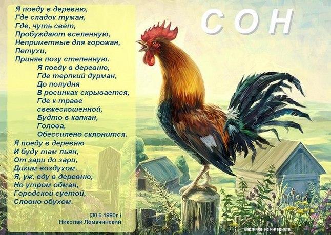 Я поеду в деревню