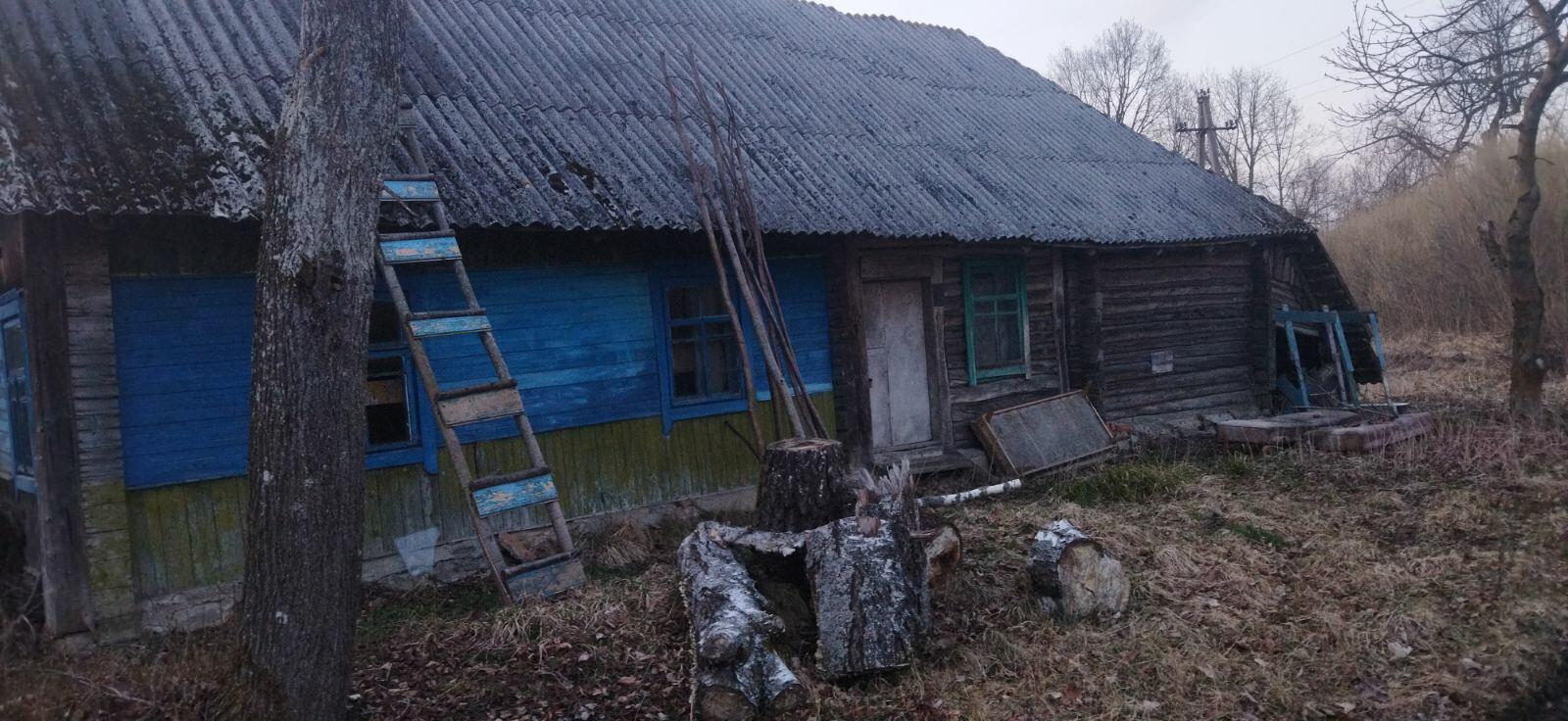 Кто виноват?