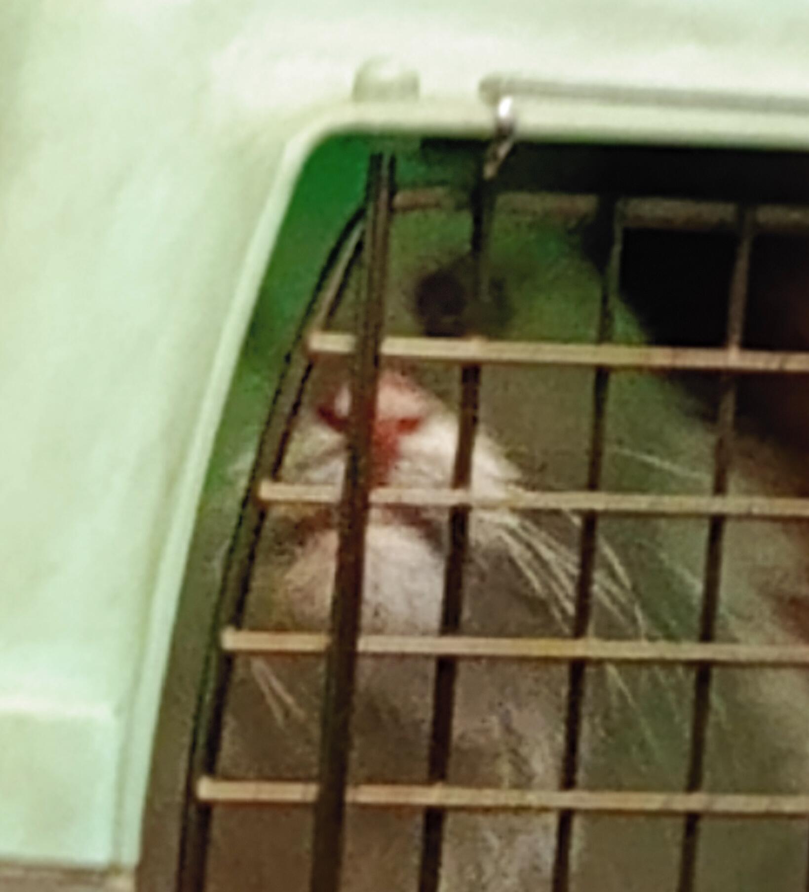 ПОЕЗДКА В МЕТРО (фото моё)