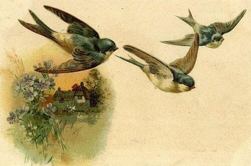 Ласточки-ноты       