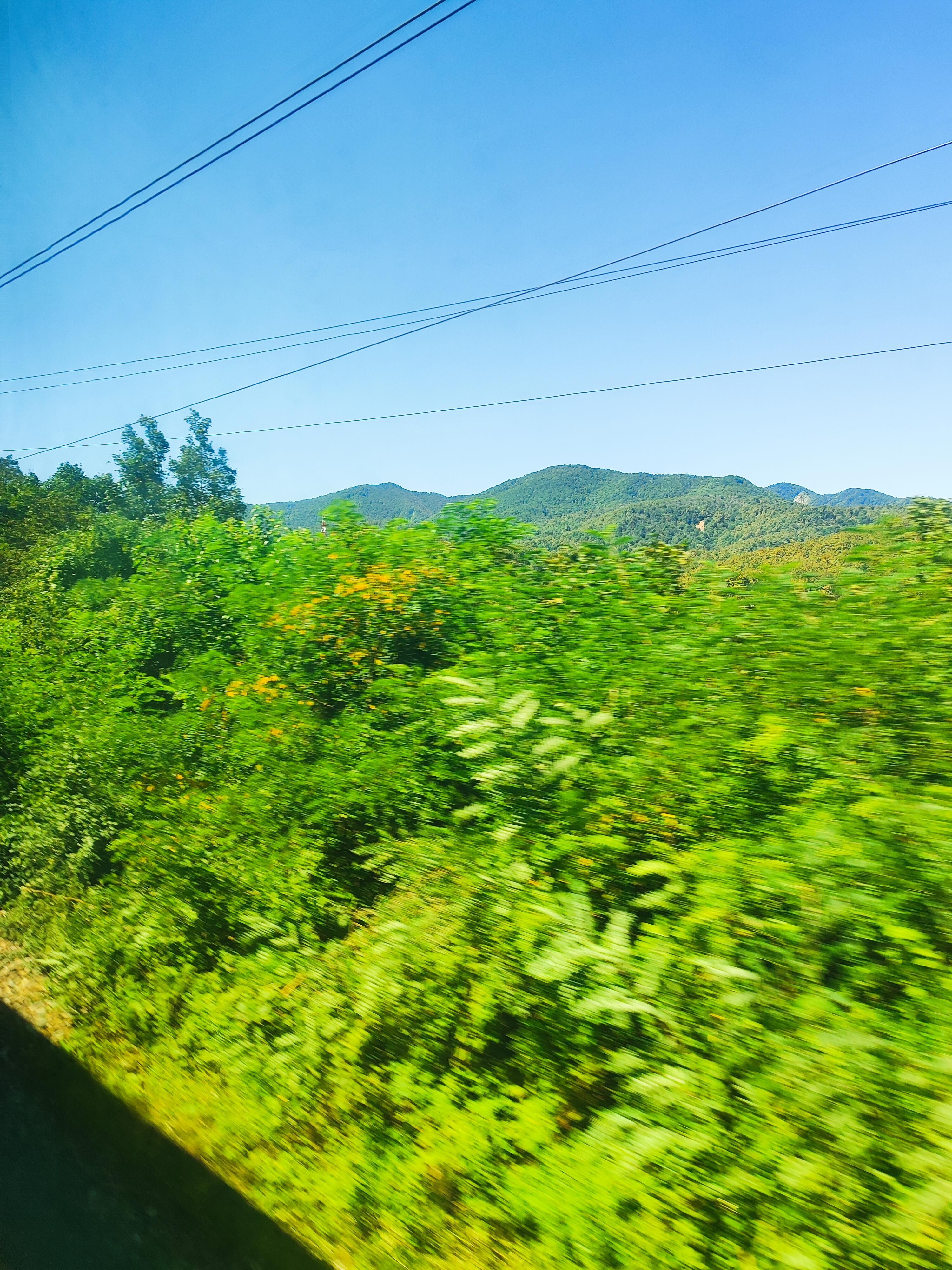 Музыка поезда