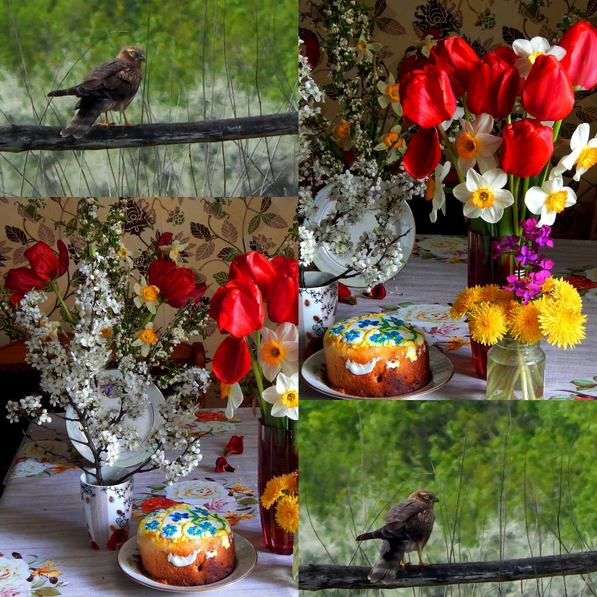 ПОКА НЕ ОТЦВЕЛИ ТЮЛЬПАНЫ