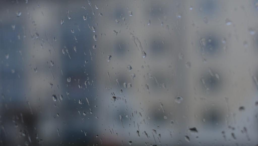 Сезон дождей весенний