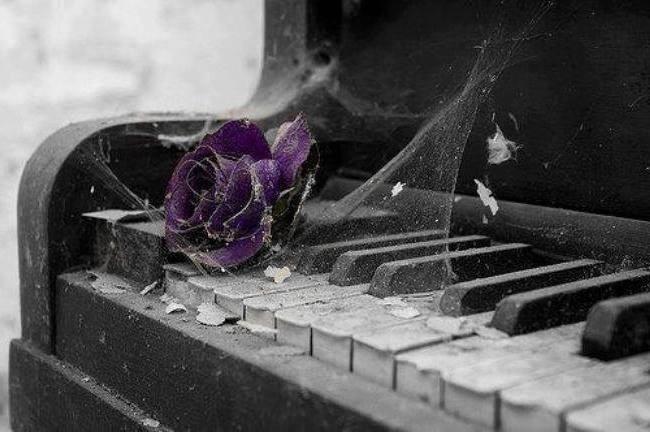 Не говори, что у тебя опять дела