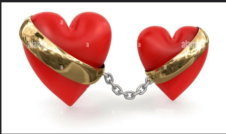 Две половинки!!!!