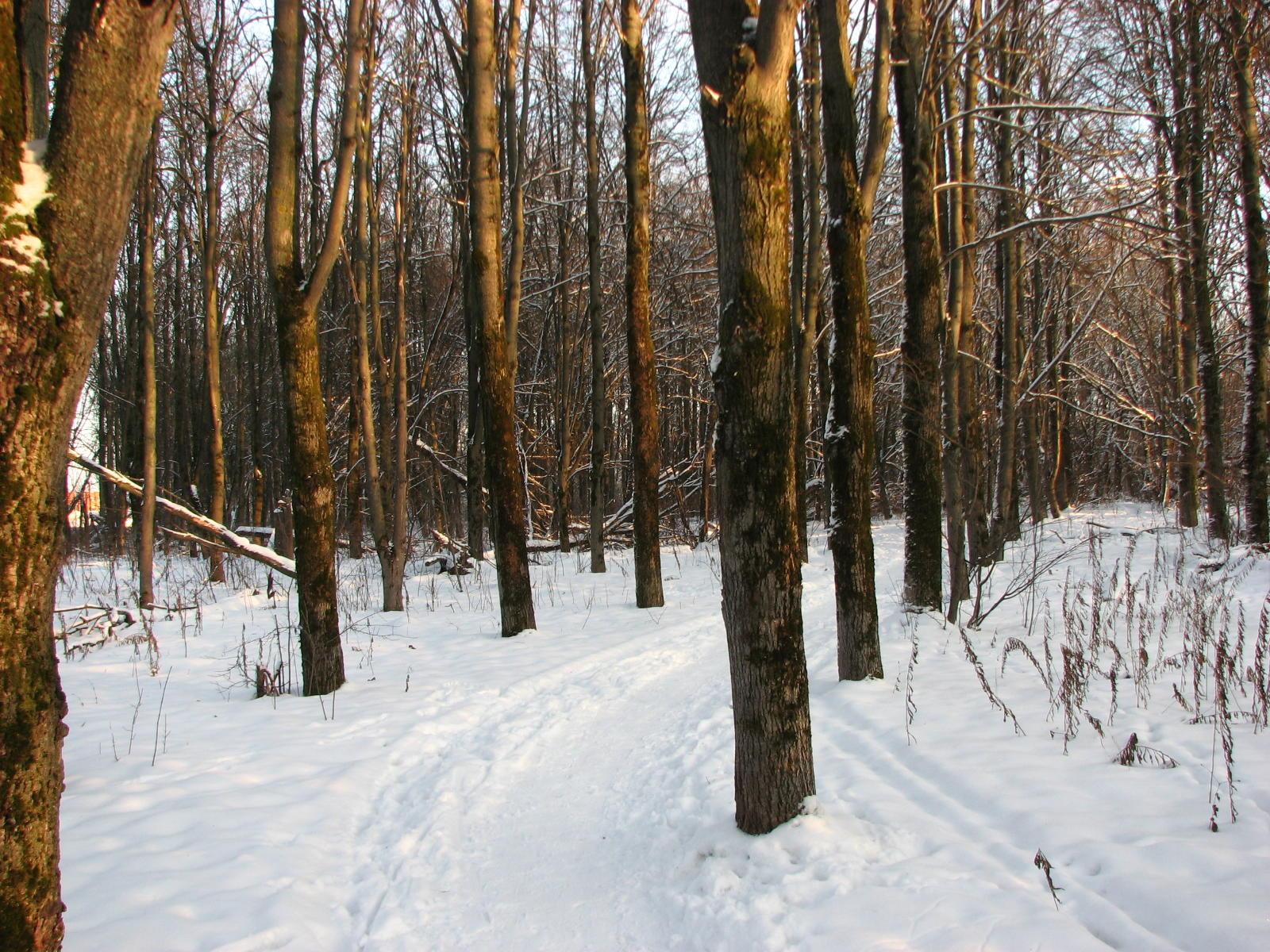 С добрым утром!
