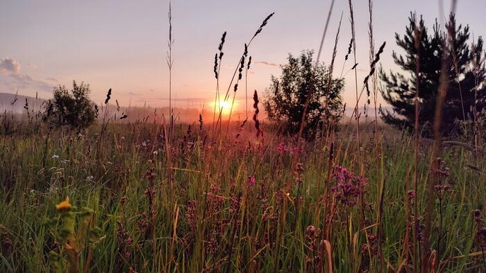 РУСТЕМУ ДЖЕЙРАНОВУ. ПОПРАВЛЯЙСЯ ДРУГ!!!