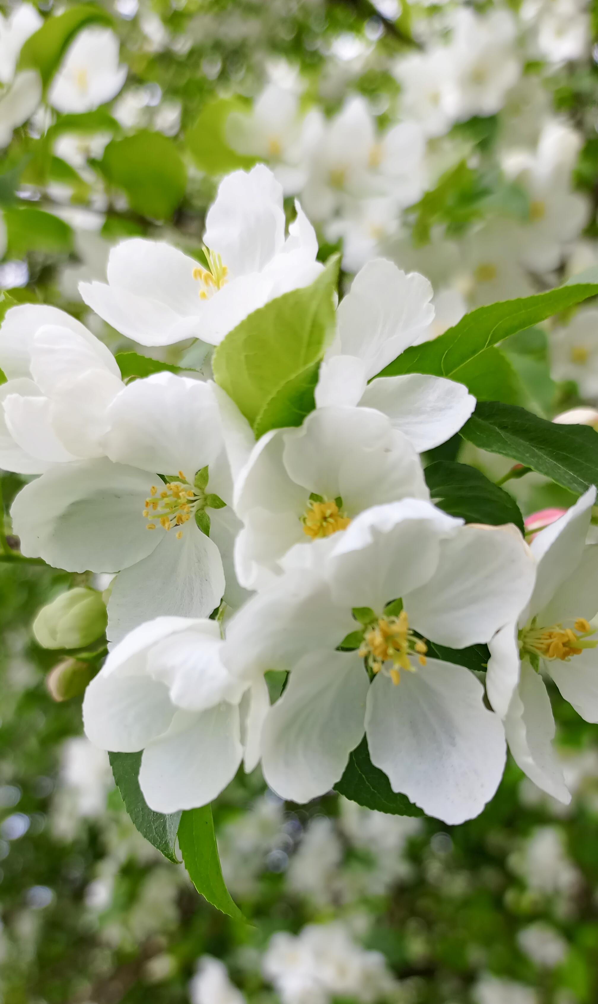 Немного любви.