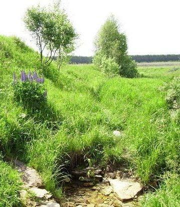 Находишь  клад во мне на ощупь…