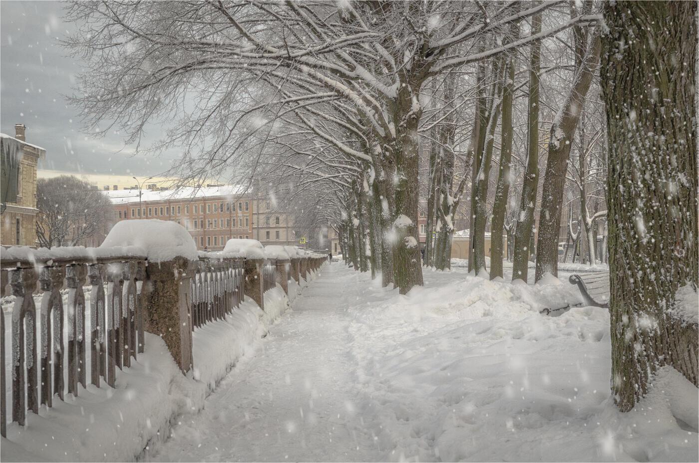 "Зима за окном…" (30.01.2026)