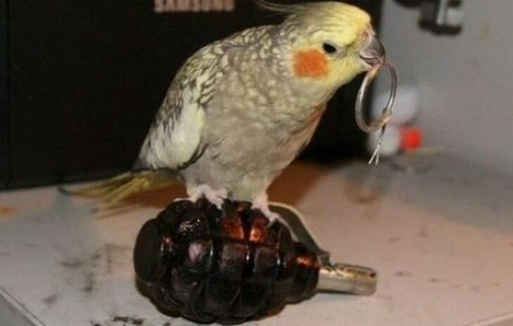 Послание Байдену из Кремля