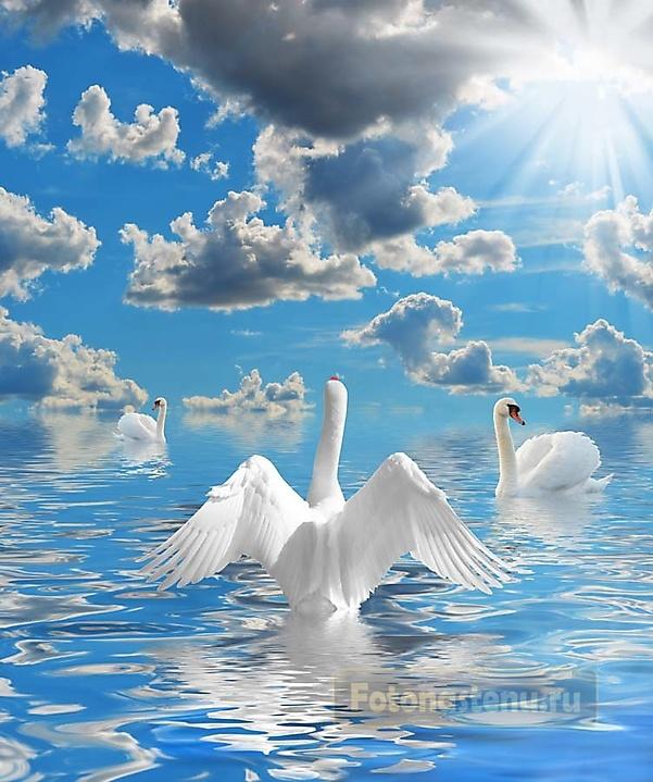 РАЗДОЛЬЕ КРАСОК В ОБЛАКАХ