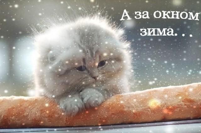 А за окном зима