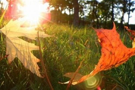 Лето просто перестало быть