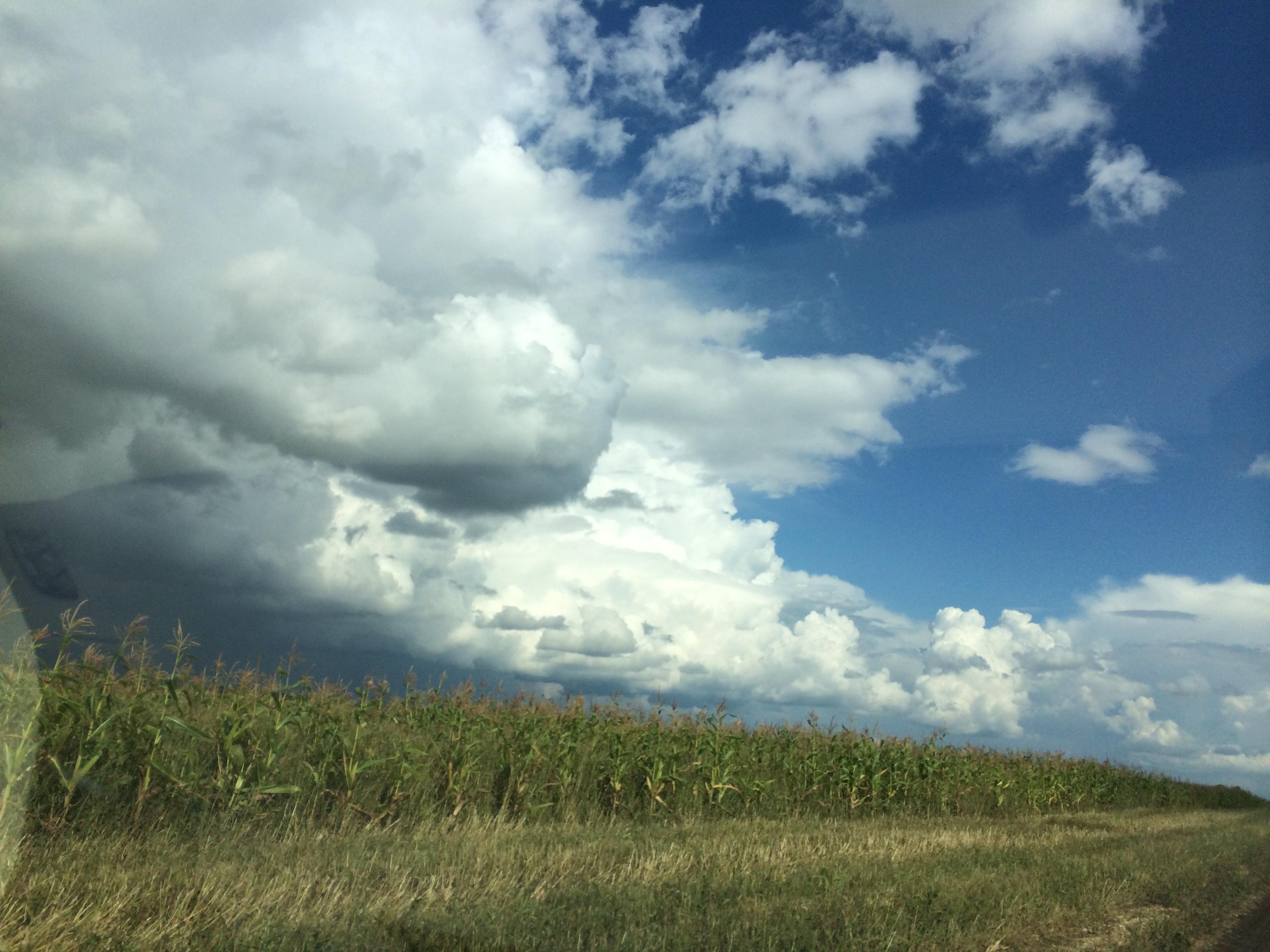 Красивым легче