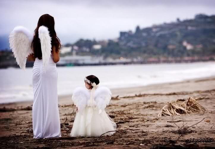 "Ангел сбереги"