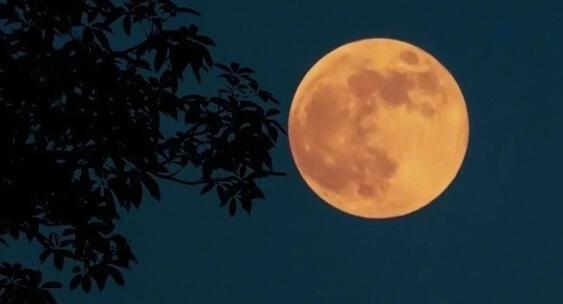 СУПЕРЛУНИЕ