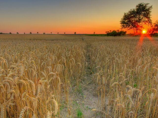 Северный ветер в день лета