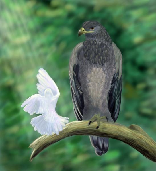 Диалог с Дозоровой Диной о птицах