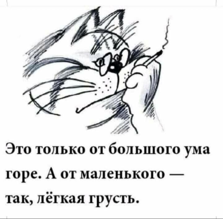 Далеко летают птицы...