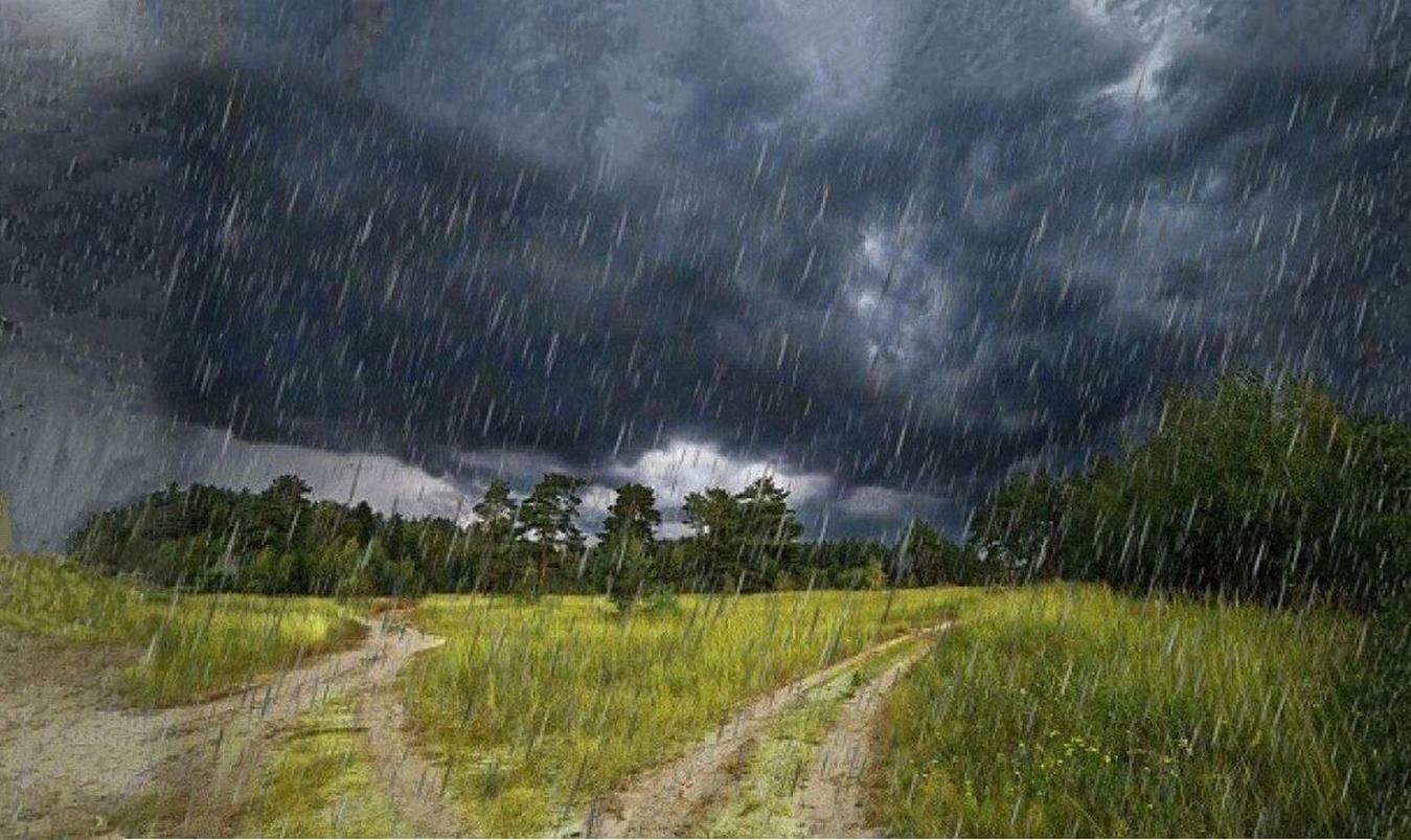 НИ  ПРОСВЕТА  !