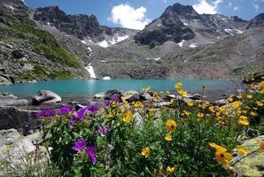 Ментоловая неизбежность