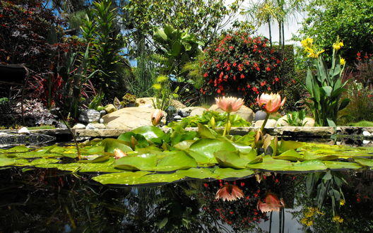 У природы грусть, томление