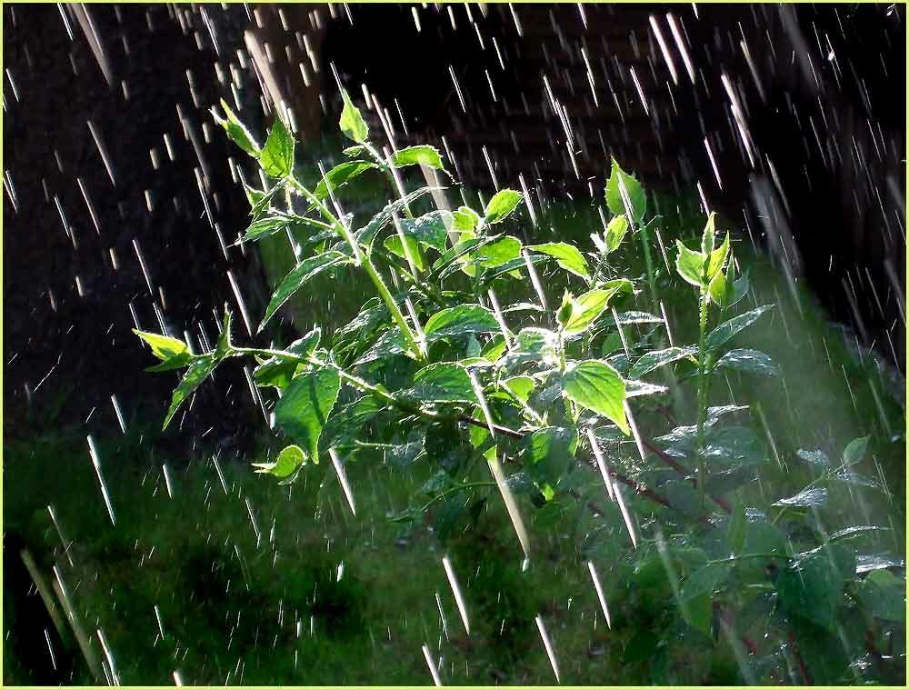 ДЫШИТСЯ ЛЕГКО