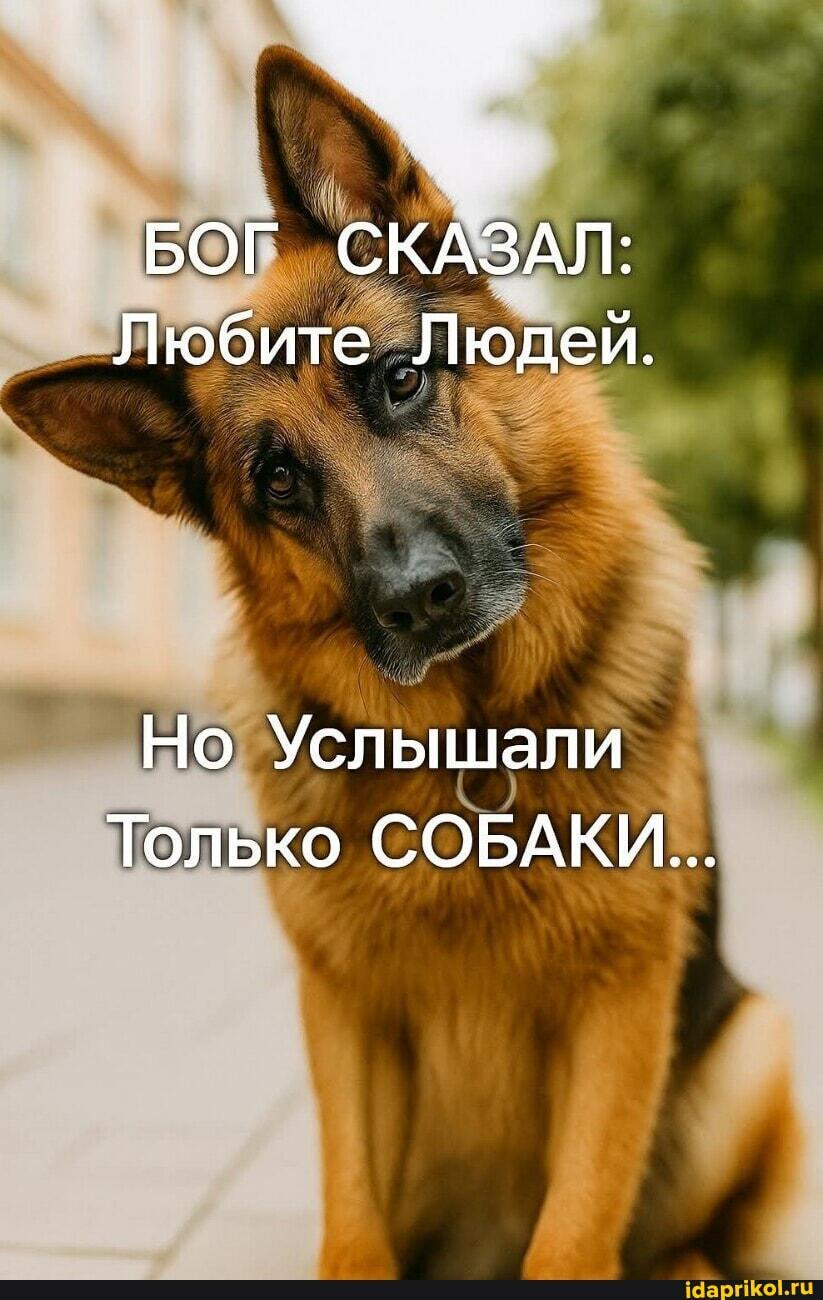 Бог сказал