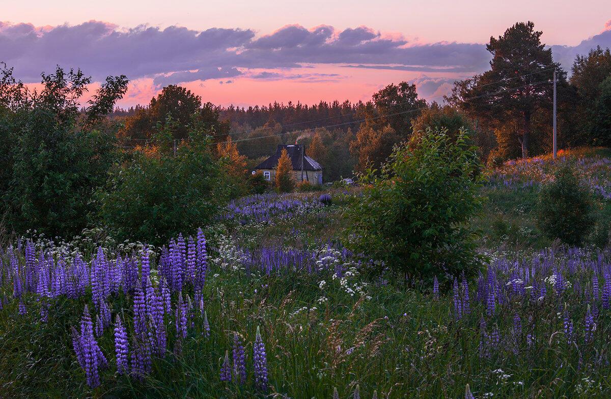 Синь и тишь