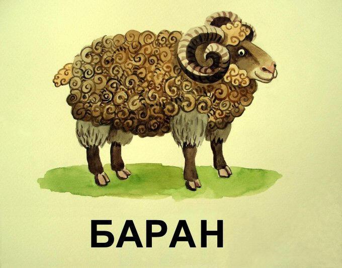 Как бараны 