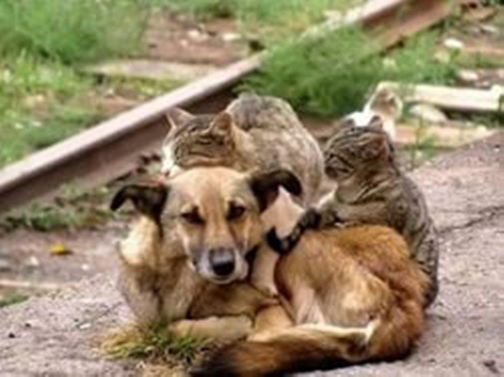 ХОЛОДНАЯ ОСЕНЬ