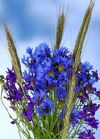 Счастья символ тех памятных лет