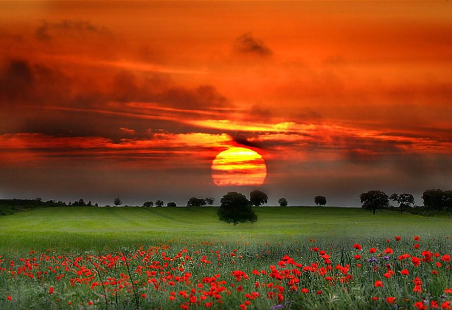 Про природу