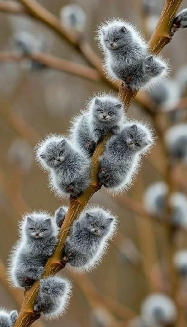 Господь Всесилен!