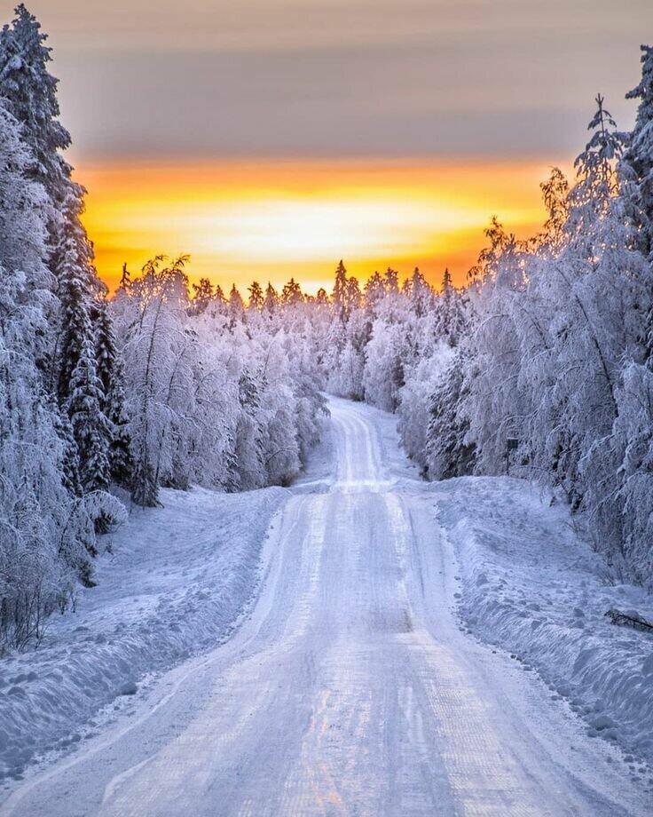 Дорога в зимнем закате